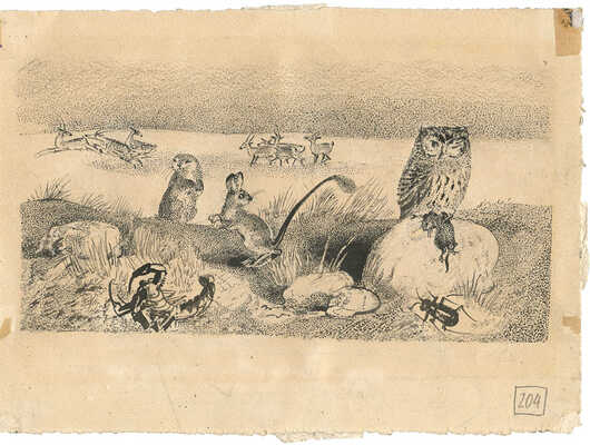 Курдов Валентин Иванович. С разных концов Союза. Говорит пустыня Иллюстрация № 7 к книге В. Бианки «Лесная газета» 